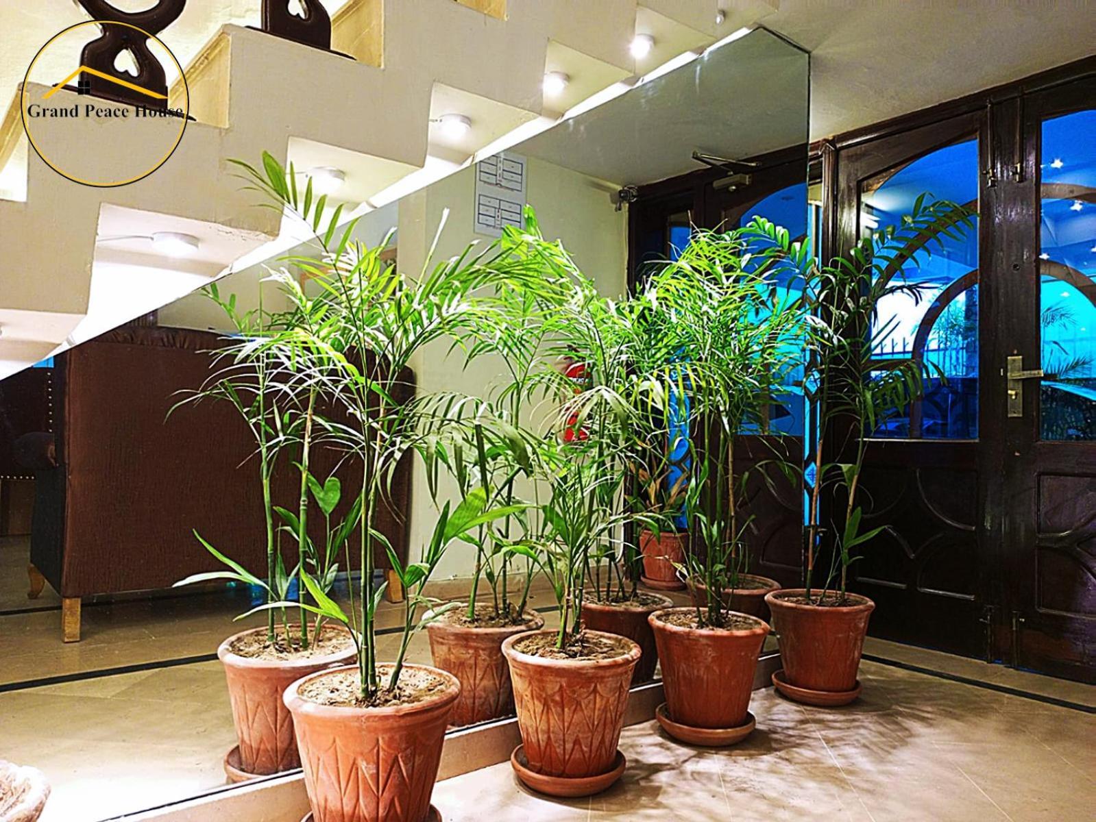 イスラマバード Grand Peace House I Bed & Breakfast エクステリア 写真
